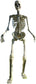 Home Accents 12 ft. Giant-Sized Skeleton with LifeEyes