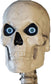 Home Accents 12 ft. Giant-Sized Skeleton with LifeEyes