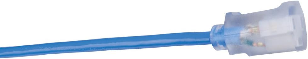 Southwire ColdFlex 12/3 SJTW Heavy-Duty Extension Cord 50 ft, Blue