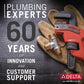Delta Faucet Ashlyn 17 Series Dual-Function Shower Trim Kit with 2-Spray Touch-Clean In2ition 2-in-1 Hand Held Shower Head with Hose, Venetian Bronze T17264-RB-I (Valve Not Included)